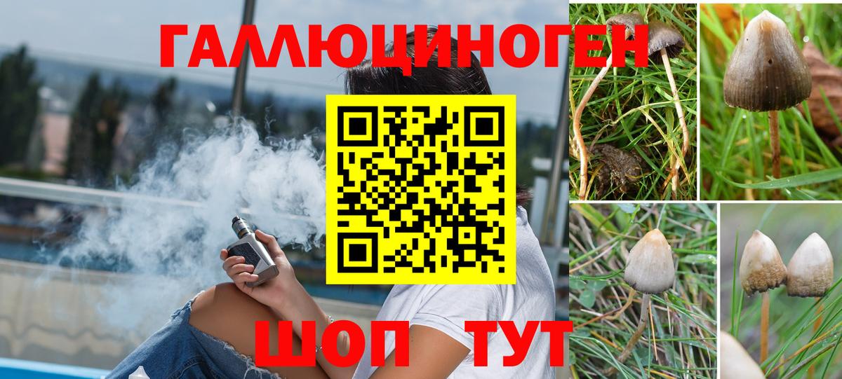 цена наркотик  Псилоцибиновые грибы MAGIC MUSHROOMS  Вход с VPN  Галлюциногенные грибы прущие грибы  Урус-Мартан 